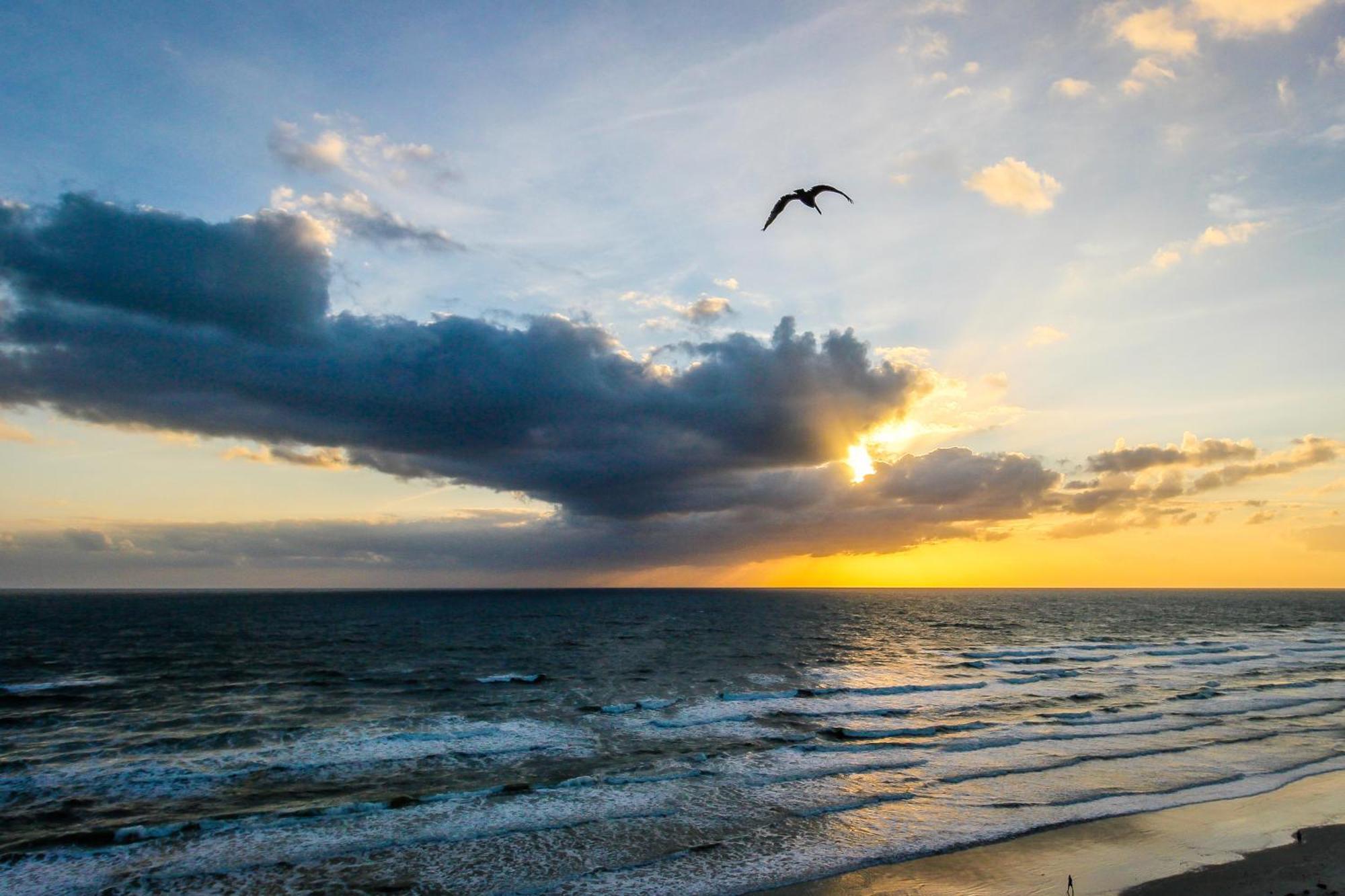 Harbour Beach Resort Daytona Beach Kamer foto